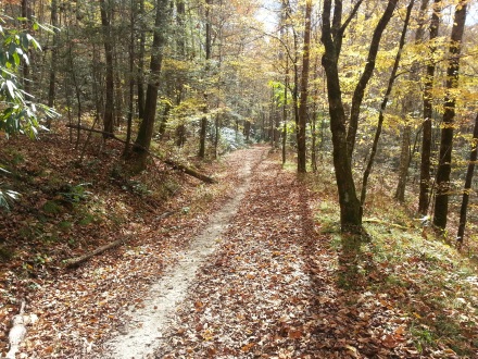 Chasteen Creek Trail